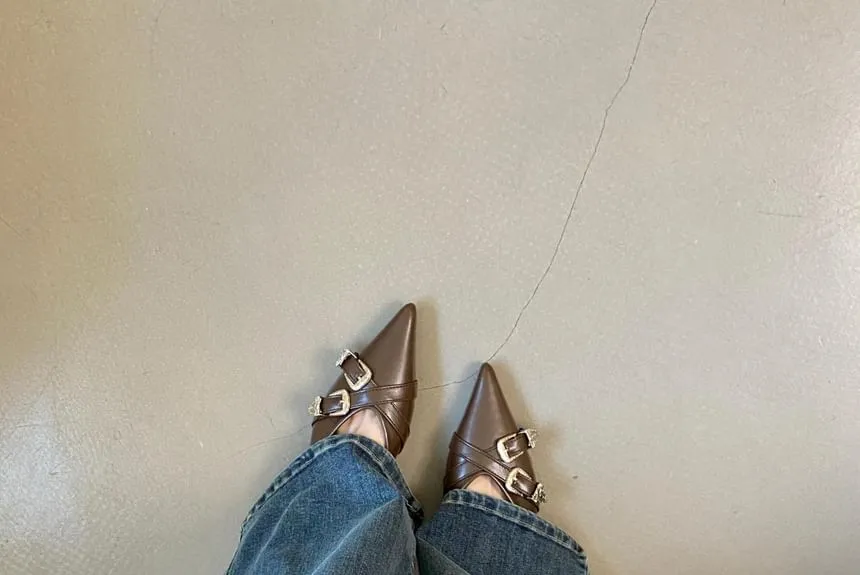 Pointed Toe Criss Cross Buckled Flats